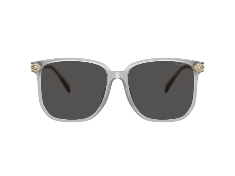 Coach Cw419 Naočare za sunce 8413BD 561487