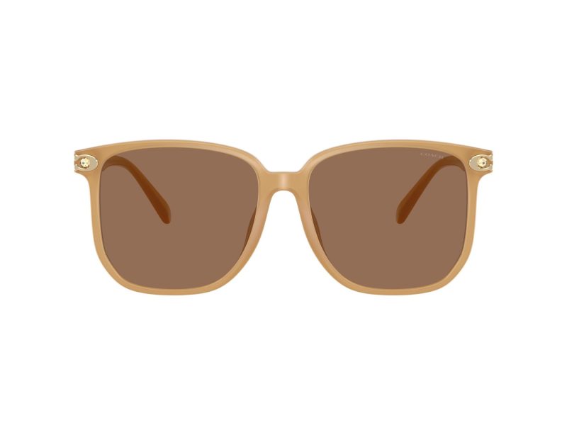 Coach Cw419 Naočare za sunce 8413BD 585473