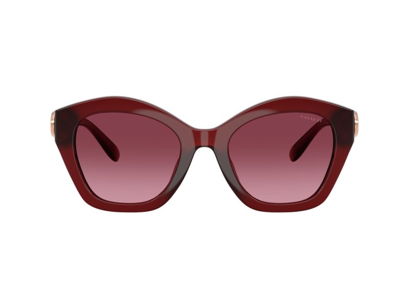 Coach Cad31 Naočare za sunce 8421U 58708H