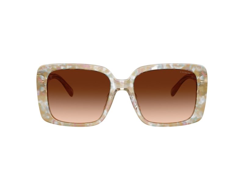 Coach Cad54 Naočare za sunce 8424U 586874