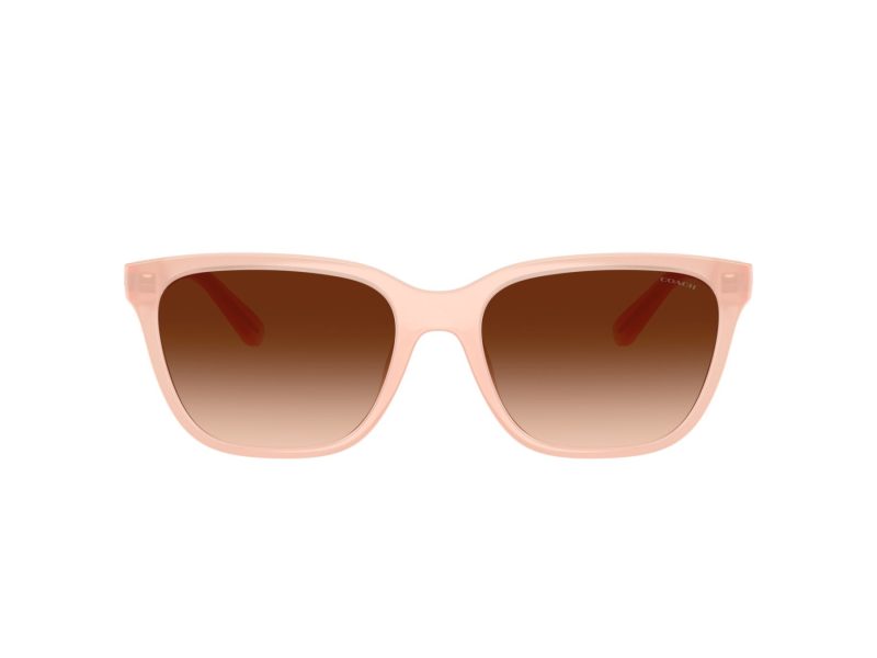 Coach Cae86 Naočare za sunce 8429D 511374